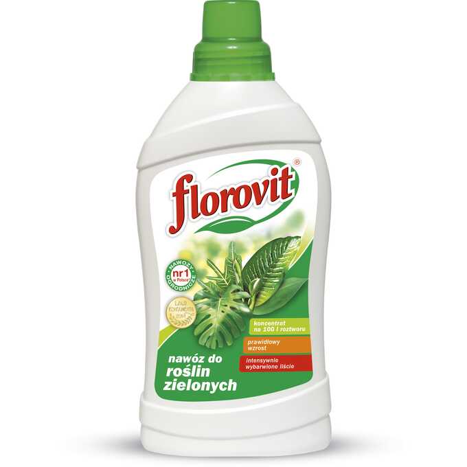Florovit nawóz w płynie do roślin zielonych 1kg